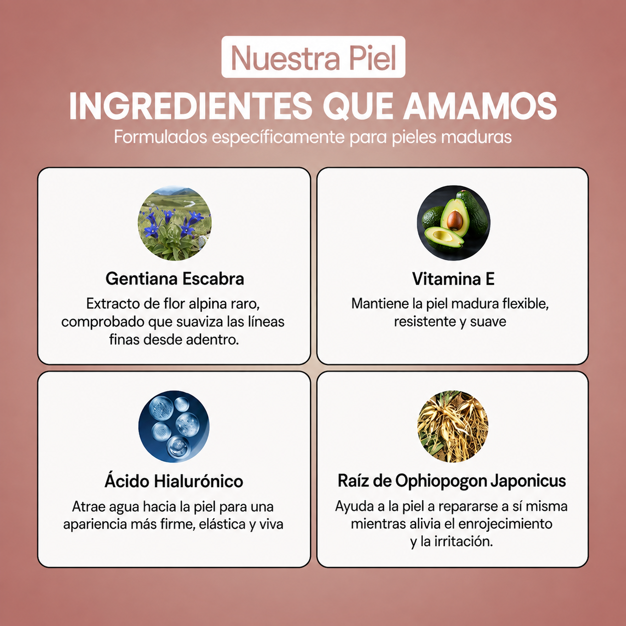 Base 4 en 1 Adaptable