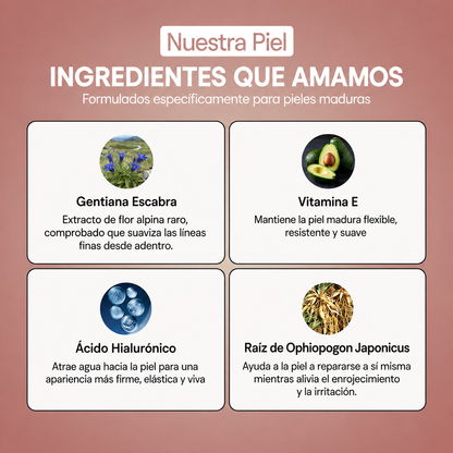 Base 4 en 1 Adaptable
